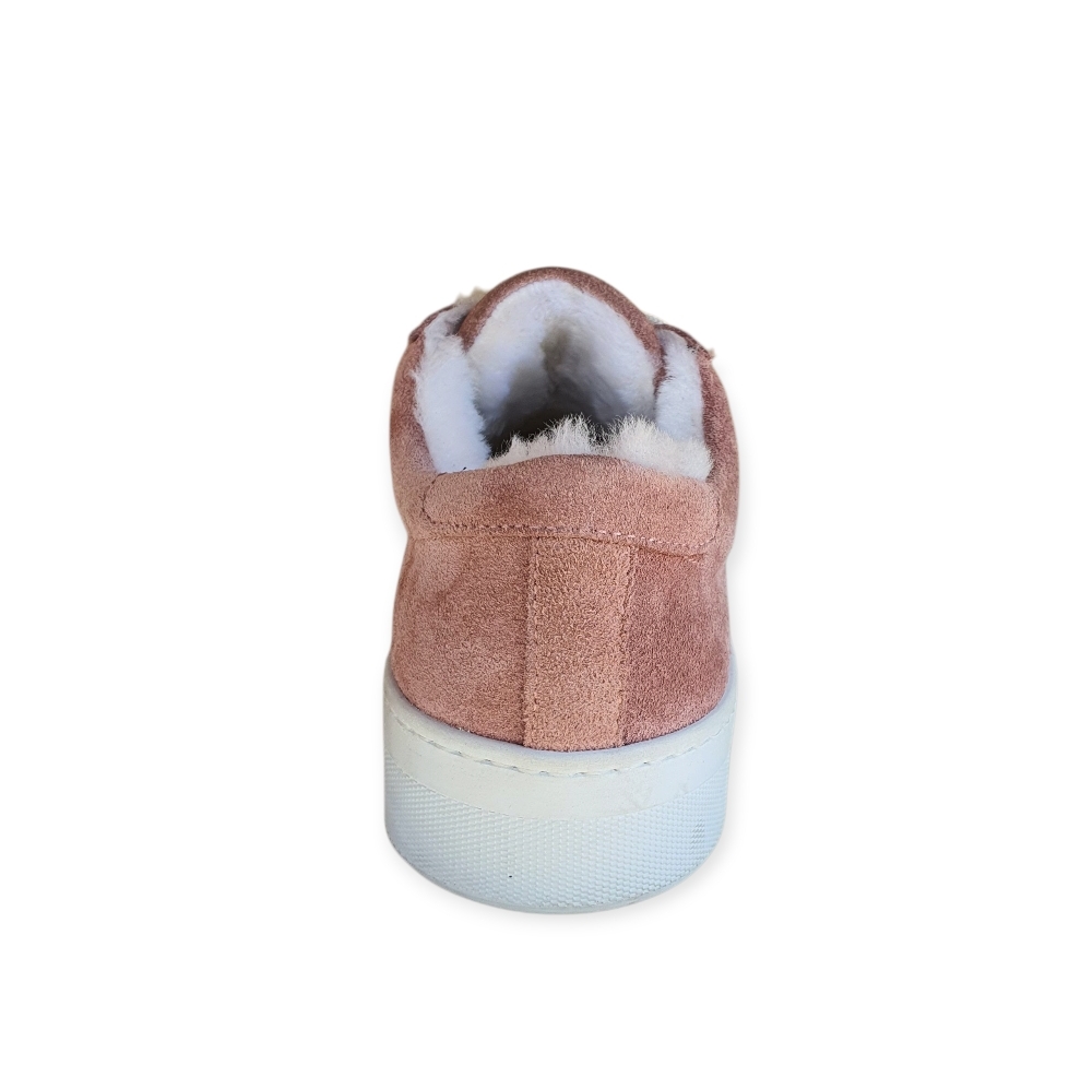 2564 Crosta kaleido col.521